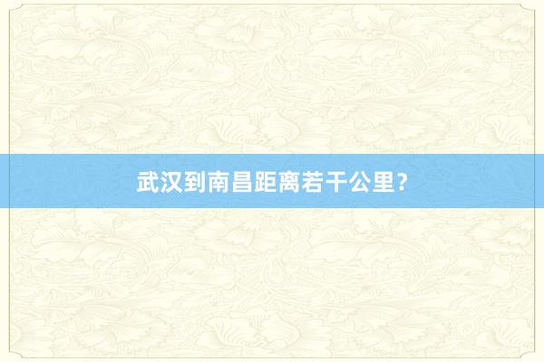 武汉到南昌距离若干公里？